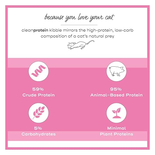 cleanprotein Pork Cat Kibble 6.6 lb. Bag (6.6 Pound (Pack of 1))