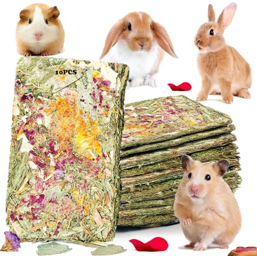 10pcs Rabbit Timothy Hay Chew Toys with Herbal Flowers for Small Pets