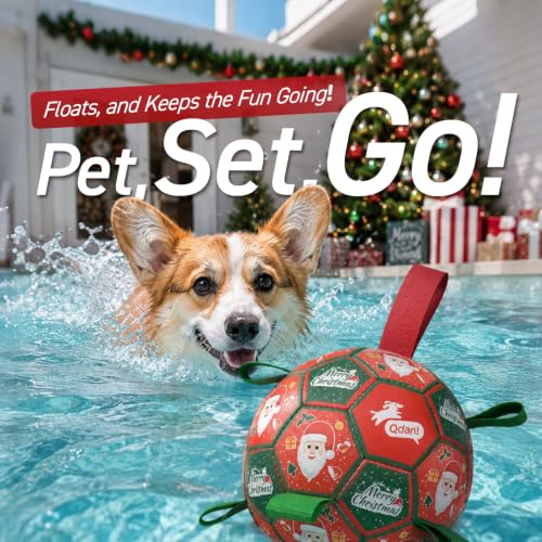 Christmas Dog Balls with Straps (Christmas 1 / Medium Size 2 (6 Inch))
