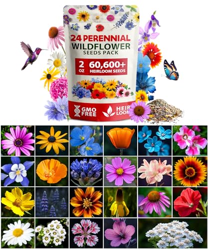 24 Wildflower Variety Mix 60
