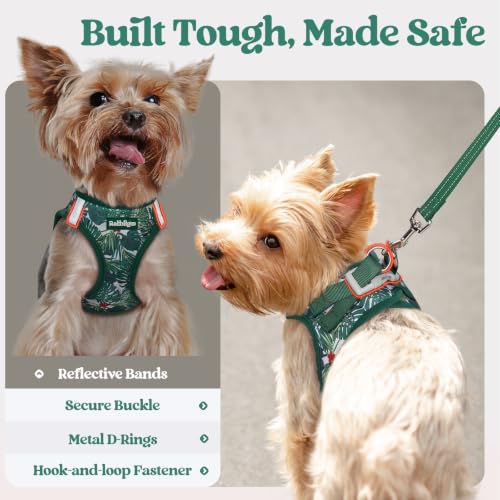 Dog Harness Small Sized and Leash Set (Rainforest Green / S (chest: 15.1 - 16.5"))