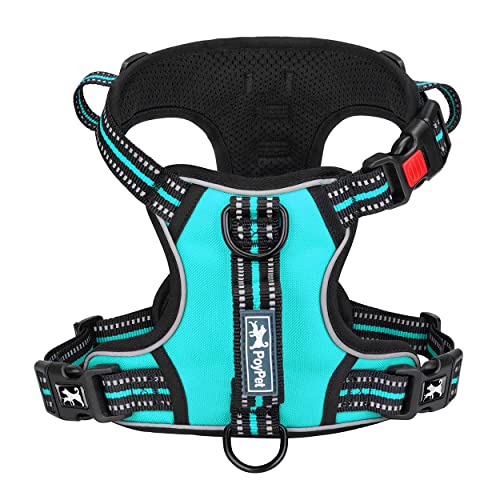 No Pull Dog Harness with 3 Leash Clips and Vertical Handle (Large / Mint Blue)