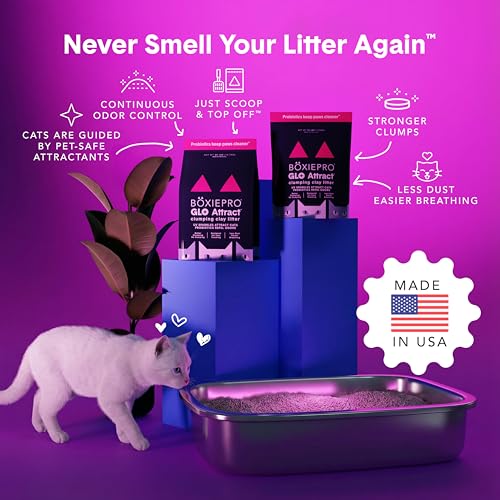 Boxie Glo Attract Clumping Cat Litter 40+ Day Odor Control Dust Free 28 lb (28 lb)