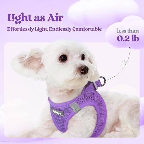 Dog Harness Small Sized and Leash Set (Purple / S (chest: 15.1 - 16.5"))