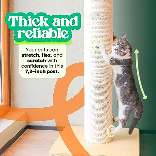 50" Tall Cat Scratching Post