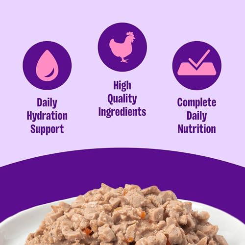 Complete Health Pate Adult Canned Wet Cat Food (5.5 Ounce (Pack of 24))