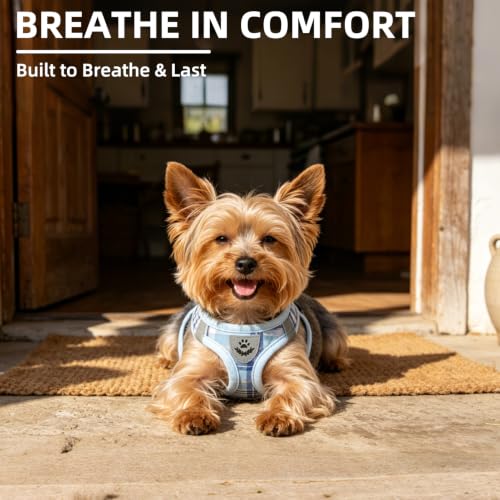Dog Harness Collar and Leash Set No Pull for Small Medium Sized (Blue / XS (CHEST 13"-14.5"))
