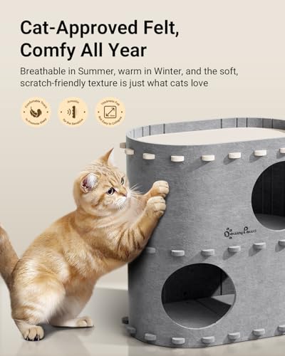 Cat House for Indoor Cats (Light Gray / Double)