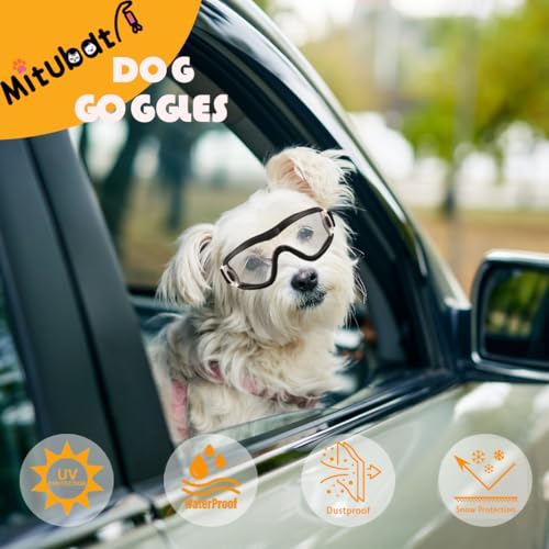 Dog Goggles Small Breed Dog Sunglasses Doggy UV Protection Glasses (Black Frame Transparent Lens)