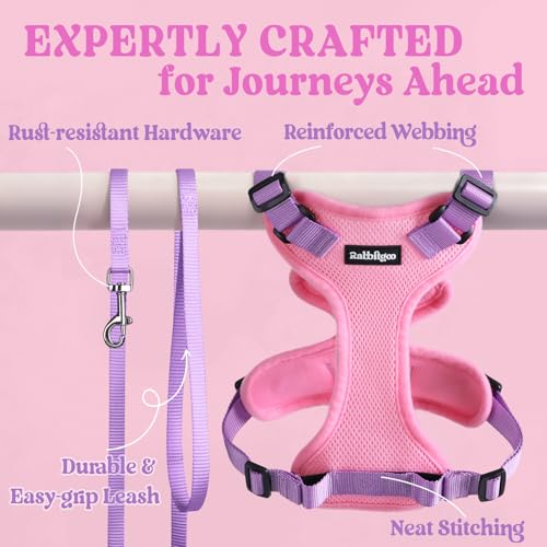 Cat Harness and Leash Set (Xs / Pink & Light Purple)