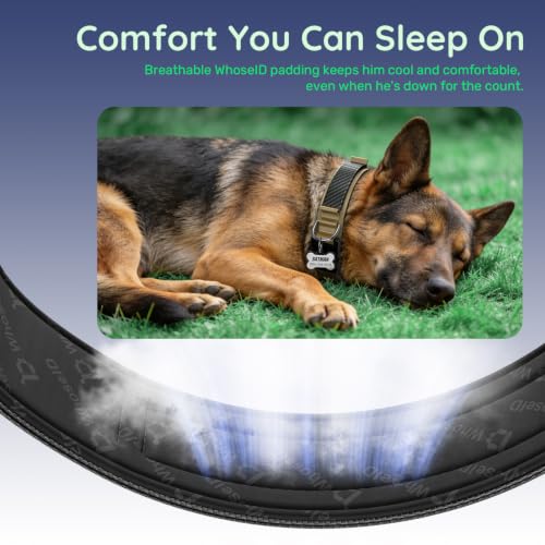 Personalized Tactical Dog Collar with Custom Photo Name for Large Dogs (Khaki / L: Fits Neck 17.5"-21.5")