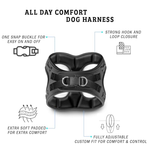 Comfort fit Step (XXXS (Chest 10"-12") / Black)