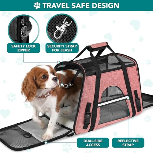 Airline Approved Pet Carrier Cat Small Dogs (Light Red / 19.5"L x 10.2"W x 12.0"H)