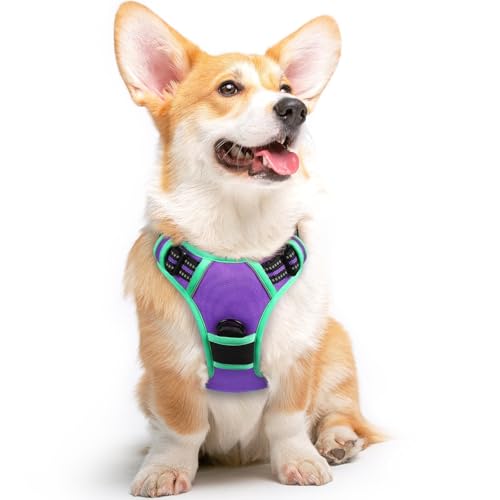 Dog Harness for Medium Sized Dogs (Medium / Purple & Turquoise)