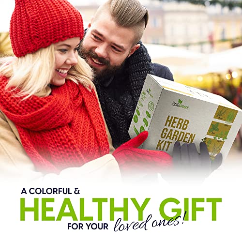 Herb Garden Starter Kit (8 Herb)