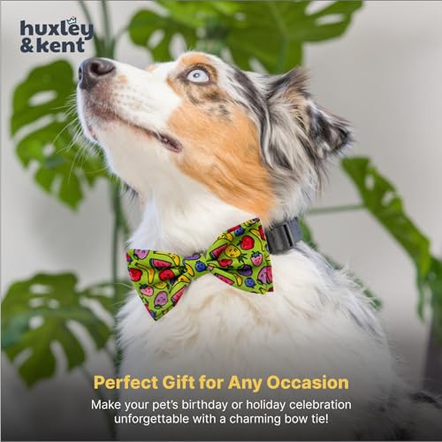 Pet Bow Tie for Dogs & Cats (Large)