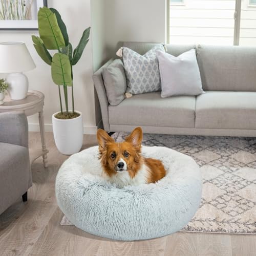 Original Calming Donut Dog Bed (Frost Shag / Medium)