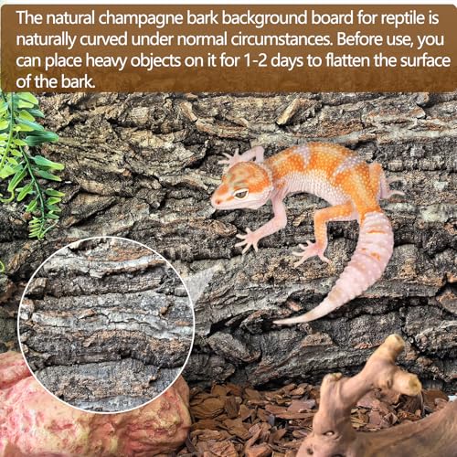 Cork Terrarium Background 11.8x7.9in 10PCS Natural Reptile Cork Bark Flats Terrarium Board Bearded Dragon Climbing Wall Mat Tank Accessories Decor for Lizard Chamelon Snake Turtle Spider Crested Gecko (10PCS-11.8x7.9in)