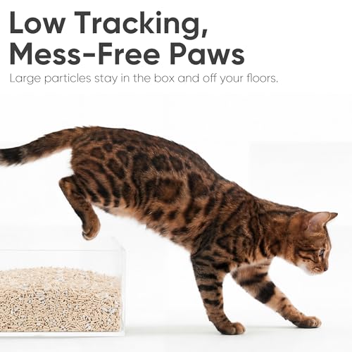 Tofu Cat Litter (SAP Blue, 12lbs.)
