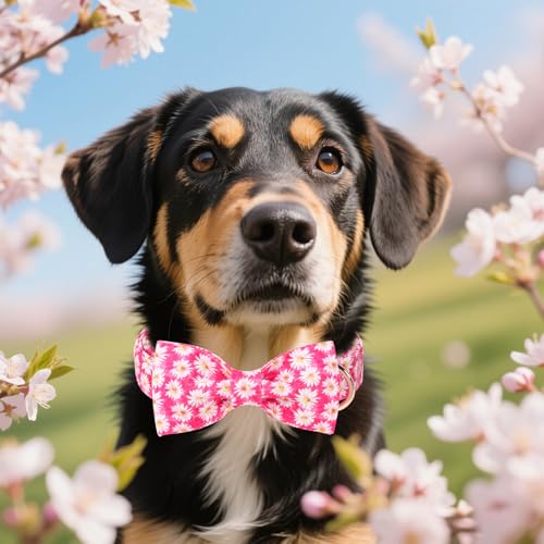 Cartoon Dog Collar with Bow Spring Summer Collar with Flower Rose Daisy for Small Medium Large Boys Girls Dogs (X-Large / Rose daisy bow)
