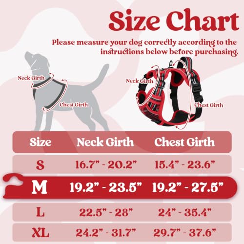 Dog Harness Medium Sized