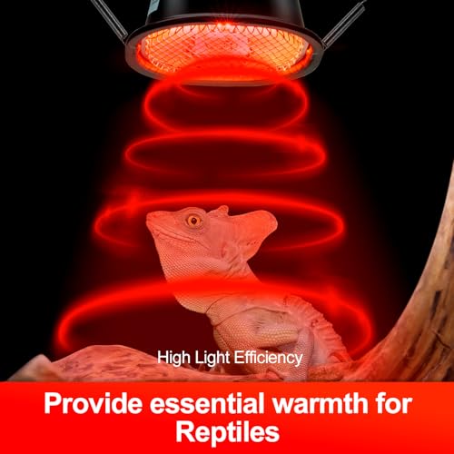 G9 Reptile Infrared Heat Lamp (Infrared Basking)