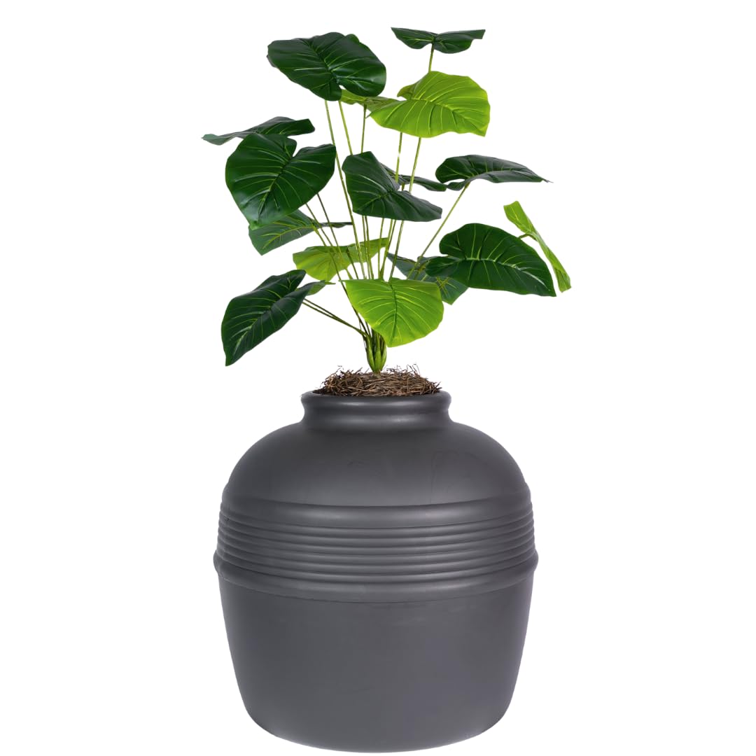 Original Hidden Litter Box Planter (Broad Leaf Philodendron / Essentials Kit / Charcoal Black)