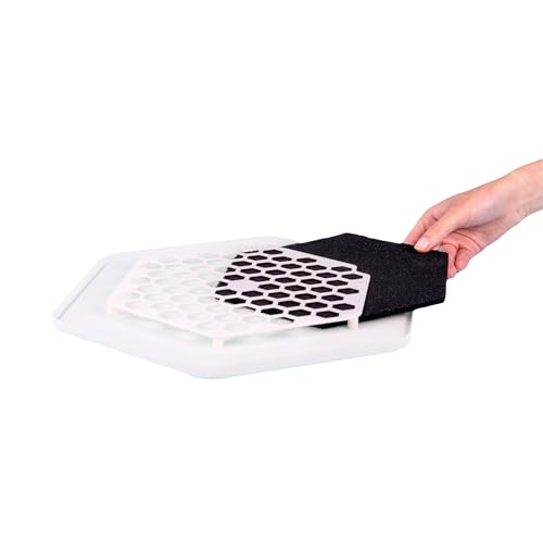 Mealworm Breeding Growing Kit