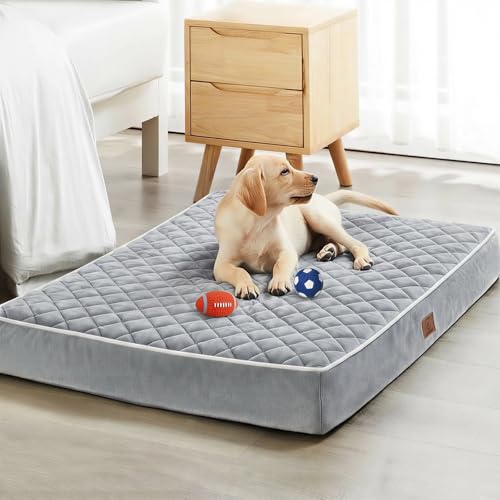 Orthopedic Waterproof Dog Bed Medium for Comfy Sleeping (Light Grey / 30"L x 20"W x 3"Th)