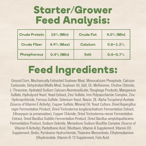 Non GMO Backyard Chicken Feed