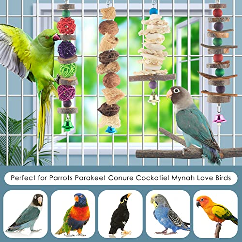 Bird Chew Toys (5 pieces)