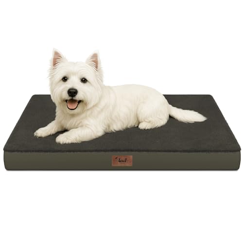 Waterproof Orthopedic Dog Crate Bed for Small Dogs & Cats (Coffee / 23.0"L x 17.0"W x 2.5"Th)