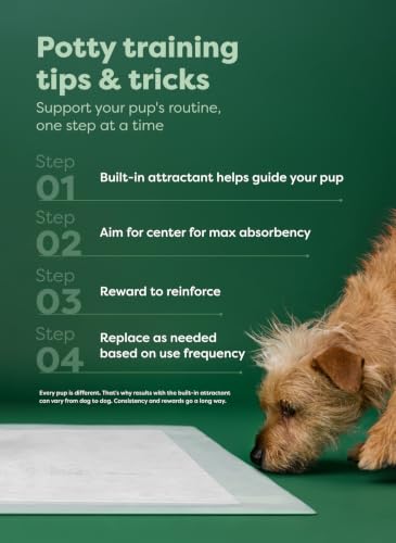 3XL Dog & Puppy Pee Pads (Clear View Top / 3XL 36"x36" 24-ct)