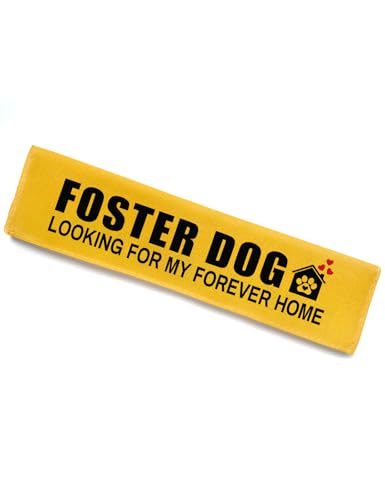 Foster Dog Leash Sleeve (Foster Dog Looking)