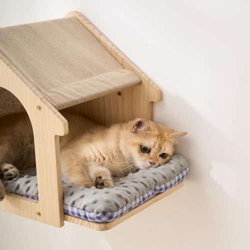 2 Pack Cat Wall House with 3 Steps (H)