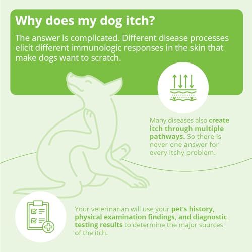 Oatmeal Shampoo for Dogs