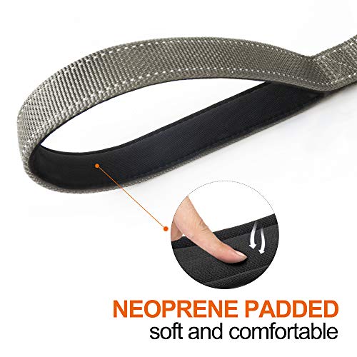 6FT 1IN Heavy Duty Dog Leash for Large Dogs with 2 Padded Handles (Grey / 1 in x 6 ft)
