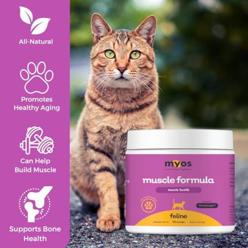 Cat Nutritional Supplement