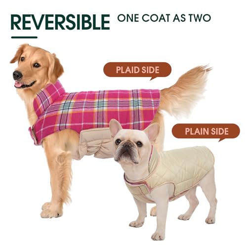 Waterproof Dog Coat (Rose / Large (Pack of 1))