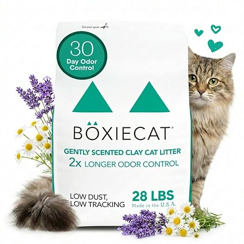 Boxie Premium Scented Clumping Cat Litter 30+ Day Odor Control 28 lb (28 lb)