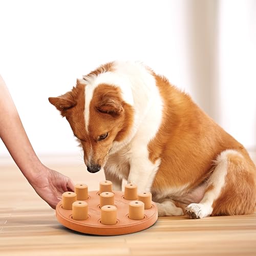 by Nina Ottosson Dog Smart Treat Puzzle Enrichment Toy (Dog Smart Composite (Orange) / 1 Count (Pack of 1))