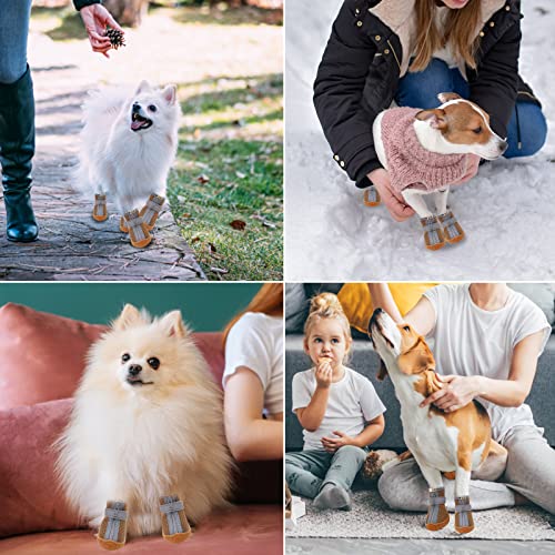 Dog Shoes for Small Dogs (#1 (width 1.1 inch) for 2.1-6.5 lbs)