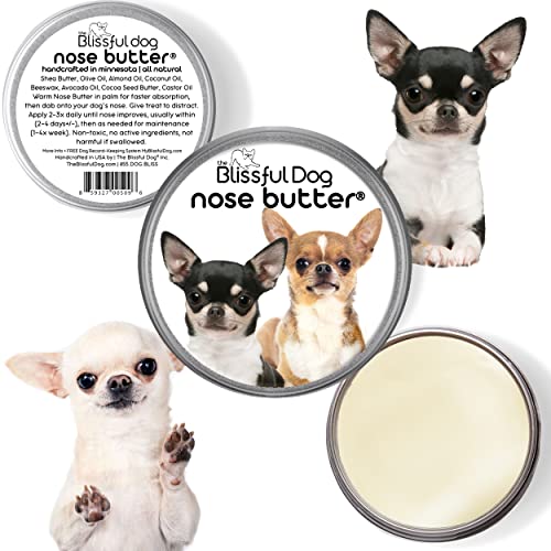 Smooth Coat Chihuahua Nose Butter for Dry (Chihuahua - Short Coat / 1 Ounce)