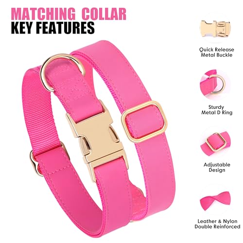 Soft PU Leather Dog Collar (M: Fit 13-19" Neck(20-55 lbs) / Hot Pink)