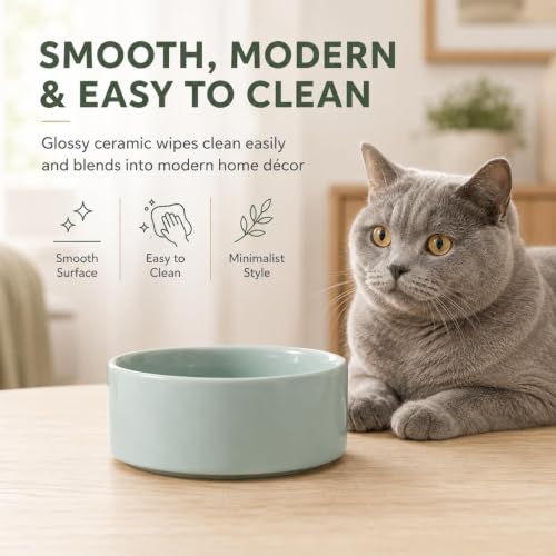 Cat Bowls Set of Two (Light Green)