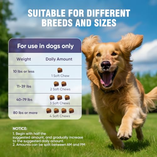 Joint Supplement for Dogs 200 ct (2 g/capsule 200pcs)