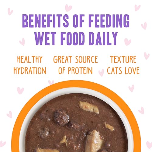 B.F.F. OMG Best Feline Friend Oh My Gravy! (2.8 Ounce (Pack of 12))