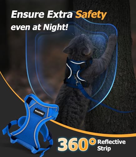 Cat Harness and Leash Set (H600 Pro Blue / Small (7-12lb))