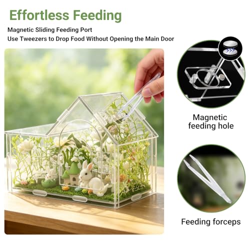 Acrylic Jumping Spider Enclosure Kit 27PCS with Decor (white-Pastoral)