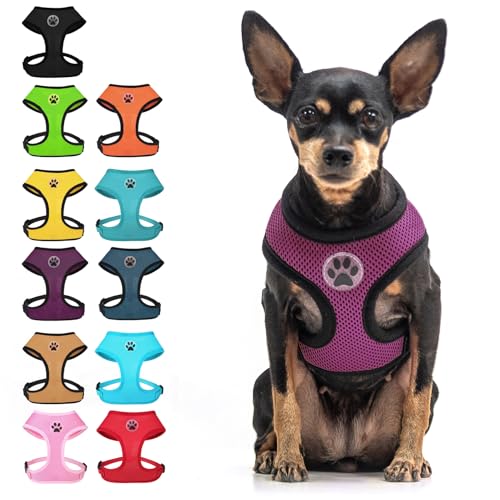 Small Dog Harness (S (NECK: 12", CHEST: 14"-18") / Purple)